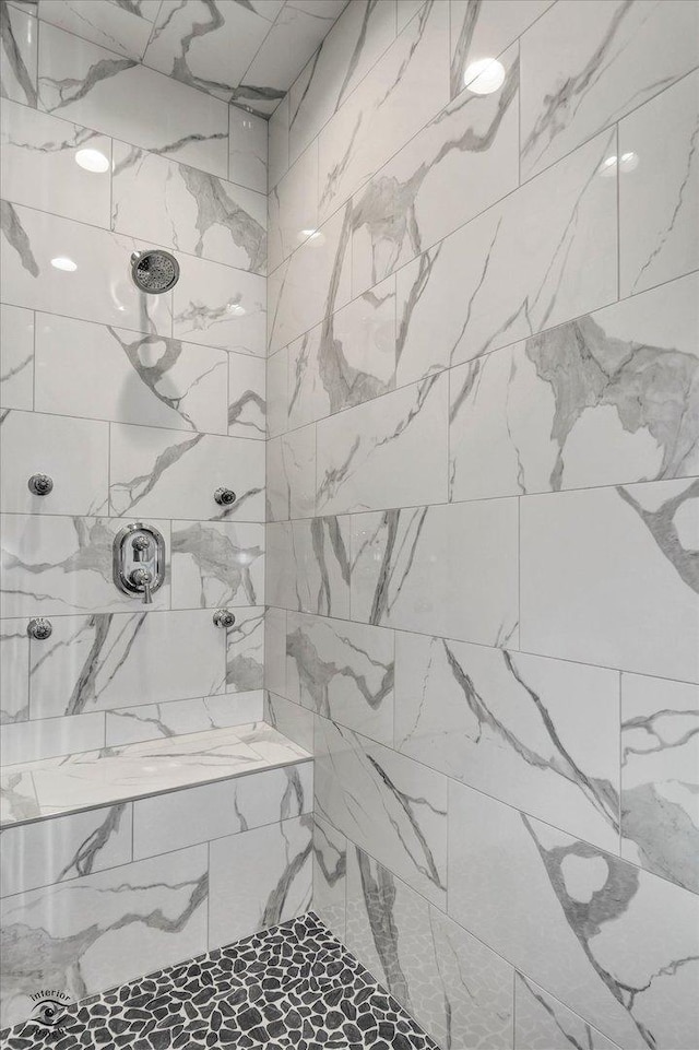 8830 Indiana Harbor Dr, Frankfort, IL 60423 - bathroom with tiled shower