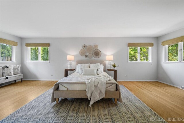 1614 Orth Dr, Wheaton, IL 60189 - bedroom with multiple windows and wood finished floors