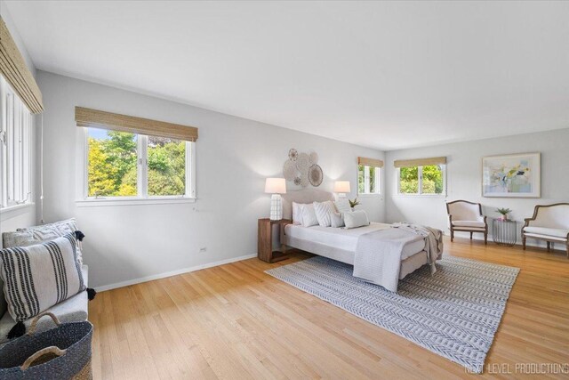 1614 Orth Dr, Wheaton, IL 60189 - bedroom with wood finished floors and baseboards
