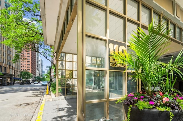 110 E Delaware Pl Unit 1501, Chicago, IL 60611 - view of exterior entry