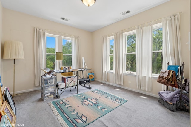 6100 N Rockwell St Unit 3S, Chicago, IL 60659 - carpeted home office with healthy amount of natural light and baseboards