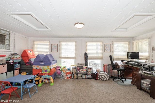 1233 Timber Pl, New Lenox, IL 60451 - recreation room with carpet floors, plenty of natural light, and an office area