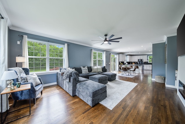 3095 Long Common Pkwy, Elgin, IL 60124 - living area featuring crown molding, a ceiling fan, dark wood-type flooring, and recessed lighting