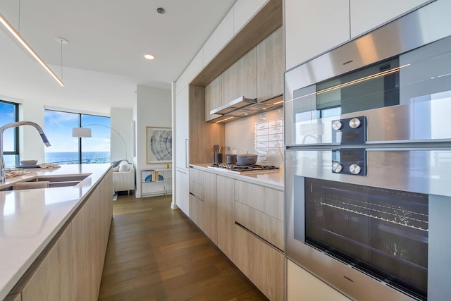 211 N Harbor Dr Unit 1902, Chicago, IL 60601 - kitchen featuring modern cabinets, stainless steel appliances, a sink, dark wood-type flooring, and light countertops