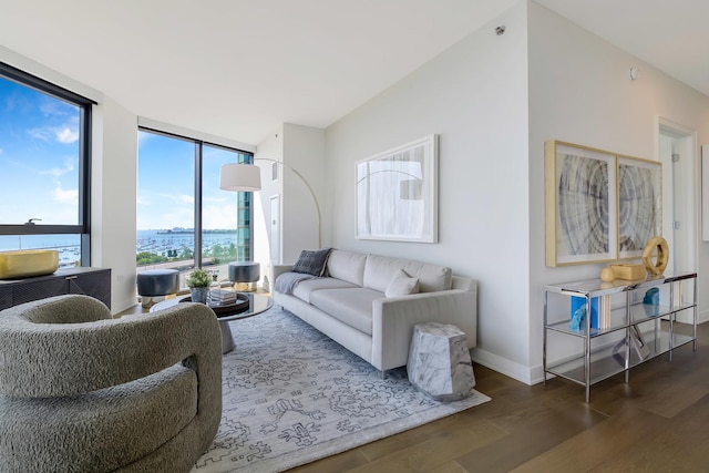 211 N Harbor Dr Unit 1902, Chicago, IL 60601 - living area featuring wood finished floors, baseboards, and a wall of windows
