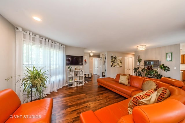 75 Willow Pkwy, Buffalo Grove, IL 60089 - living room featuring wood finished floors and recessed lighting