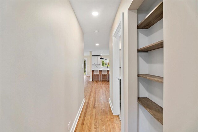 114 S Waverly Pl, Mount Prospect, IL 60056 - corridor with light wood-type flooring and recessed lighting