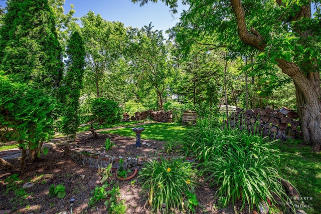 275 S Mchenry Ave, Crystal Lake, IL 60014 - view of yard