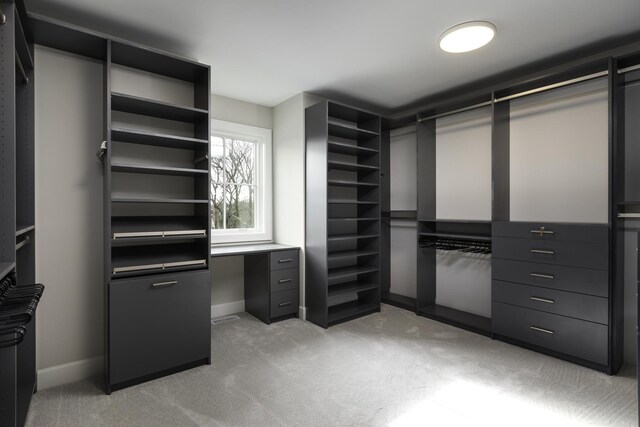845 Tulip Ln, Naperville, IL 60540 - spacious closet featuring light carpet