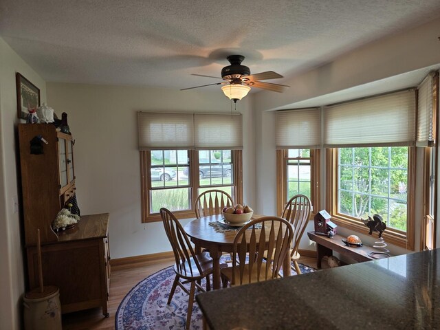 873 Beauchamp Ave, Manteno, IL 60950 - dining room featuring light wood-type flooring, a ceiling fan, and a textured ceiling