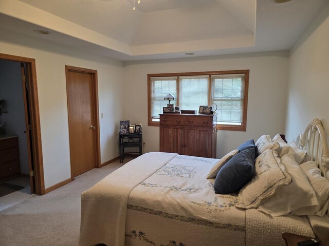 873 Beauchamp Ave, Manteno, IL 60950 - bedroom with light colored carpet and a tray ceiling