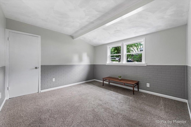 1912 Oakleaf Dr, Mchenry, IL 60050 - unfurnished room with carpet floors, wainscoting, brick wall, and baseboards