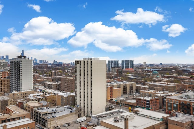 2754 N Hampden Ct Unit 2002, Chicago, IL 60614 - view of city skyline