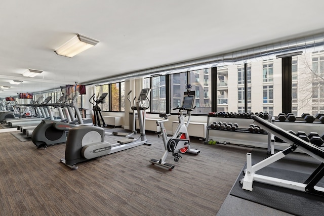 2754 N Hampden Ct Unit 2002, Chicago, IL 60614 - workout area featuring carpet