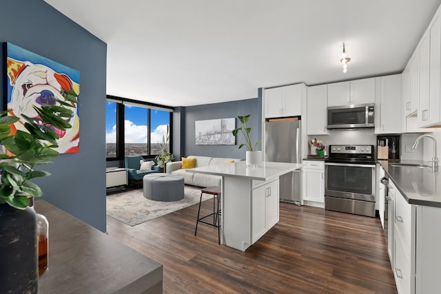 2754 N Hampden Ct Unit 2002, Chicago, IL 60614 - kitchen featuring stainless steel appliances, open floor plan, expansive windows, dark wood finished floors, and a kitchen island