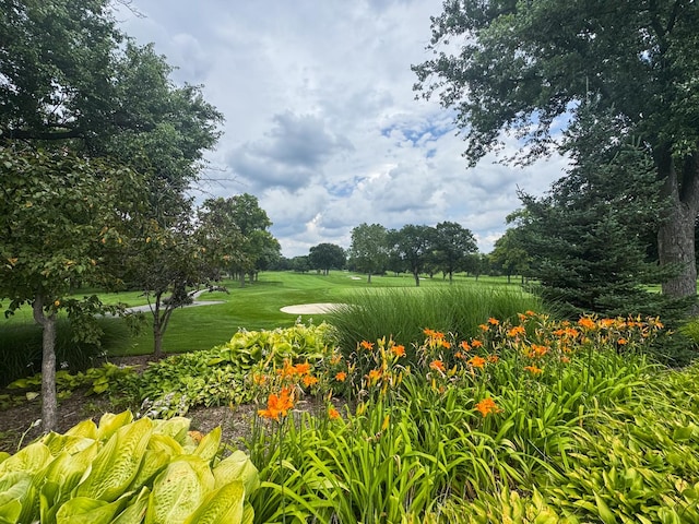 885 Glen Oak Ave, Glen Ellyn, IL 60137 - photo 21