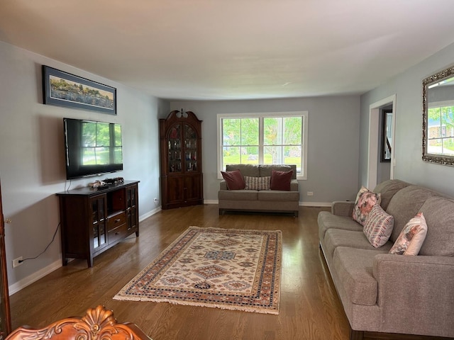 1303 Jane Ave, Naperville, IL 60540 - living room featuring wood finished floors and baseboards