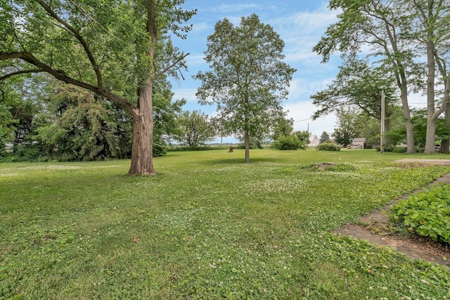 1635 N 4012th Rd, Earlville, IL 60518 - view of green lawn