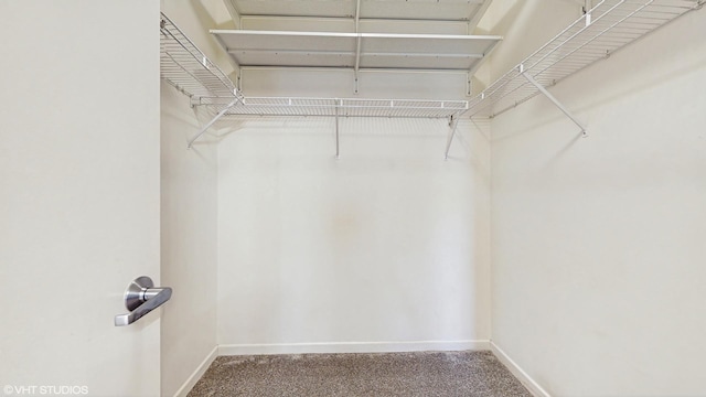 720 Prestwick Ln Unit 207, Wheeling, IL 60090 - spacious closet with carpet flooring