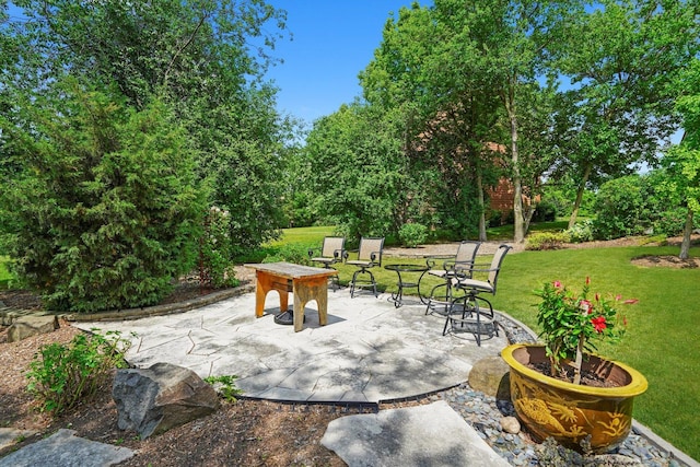 25014 W Nicklaus Way, Antioch, IL 60002 - view of home's community with a patio area and a yard