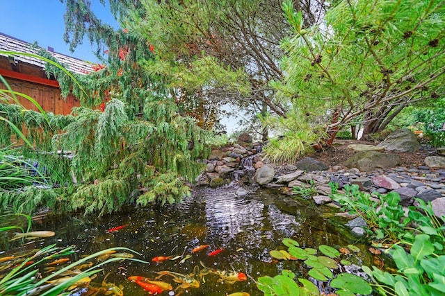 25014 W Nicklaus Way, Antioch, IL 60002 - view of undeveloped land featuring a garden pond