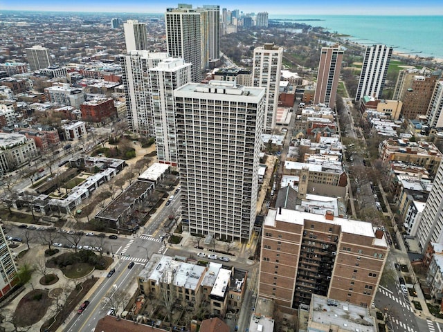 88 W Schiller St Unit 1001L, Chicago, IL 60610 - city view featuring a large body of water