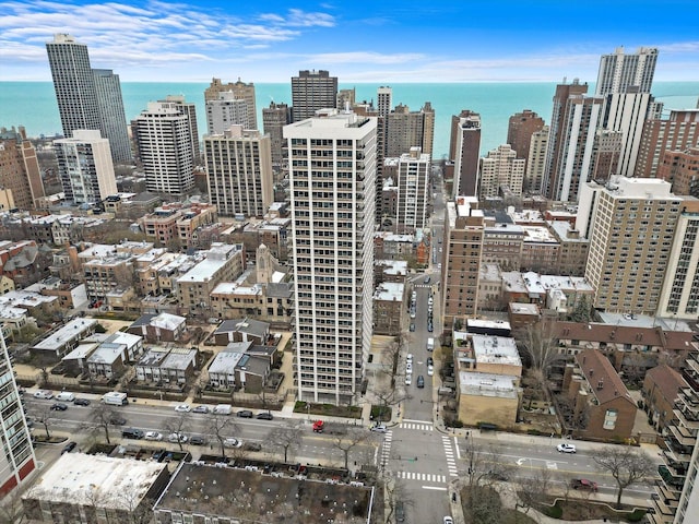 88 W Schiller St Unit 1001L, Chicago, IL 60610 - skyline view with a large body of water