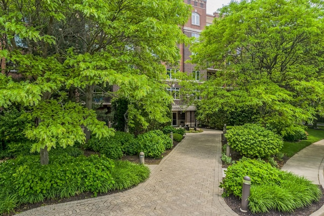 5055 W Madison St Unit 511, Skokie, IL 60077 - surrounding community