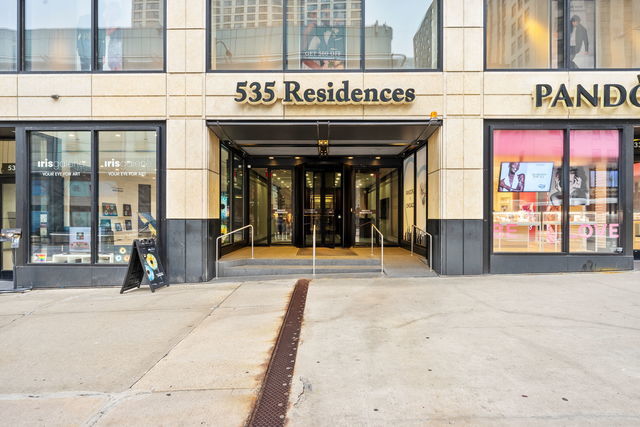 535 N Michigan Ave Unit 2205, Chicago, IL 60611 - entrance to property