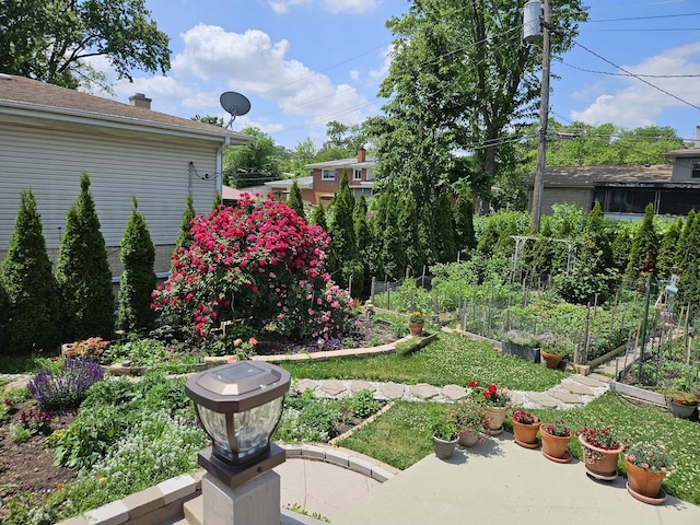 316 Nellie Ct, Glenview, IL 60025 - view of yard with a vegetable garden