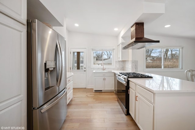 316 Nellie Ct, Glenview, IL 60025 - kitchen featuring appliances with stainless steel finishes, island range hood, plenty of natural light, light wood-style flooring, and recessed lighting