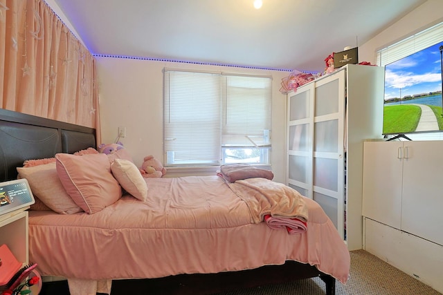 392 Plum Ct, Elgin, IL 60120 - bedroom with carpet floors