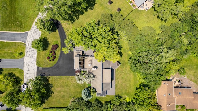 1707 Lynwood Ct, Flossmoor, IL 60422 - aerial view