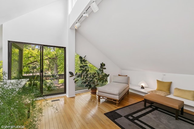 1707 Lynwood Ct, Flossmoor, IL 60422 - living area with vaulted ceiling, light wood-style flooring, and rail lighting