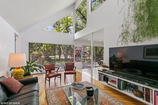 1707 Lynwood Ct, Flossmoor, IL 60422 - living room featuring a towering ceiling and wood-type flooring