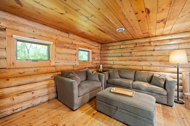 8753 Camp Lake Rd, Salem, WI 53168 - living area featuring wood ceiling, light wood-type flooring, and rustic walls