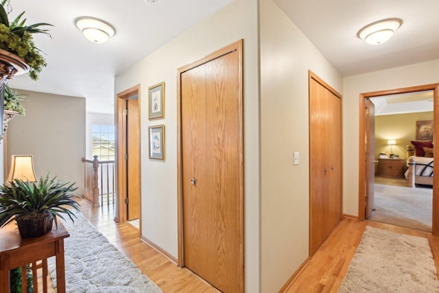 949 Ruthenbeck Ln, New Lenox, IL 60451 - hallway with light wood finished floors