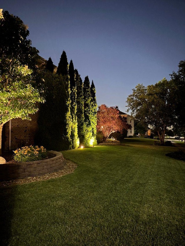 949 Ruthenbeck Ln, New Lenox, IL 60451 - view of grassy yard