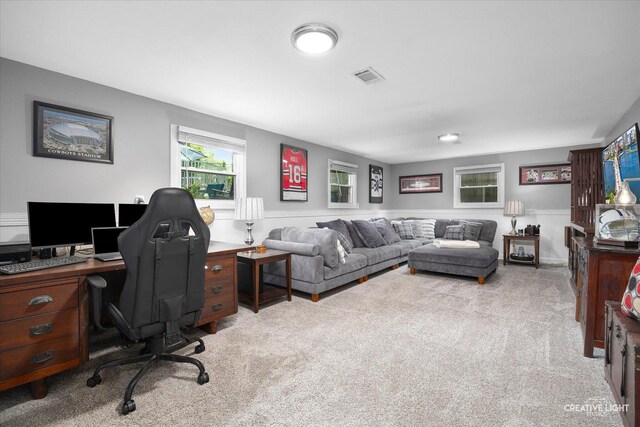 124 Fairview Dr, Saint Charles, IL 60174 - office space with carpet flooring and a wainscoted wall