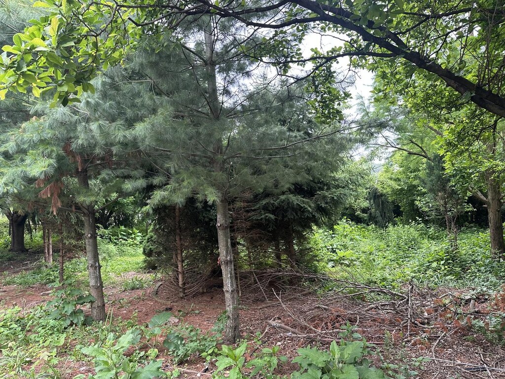 LOT21 Country Club Dr, Kankakee, IL 60901 - photo 1