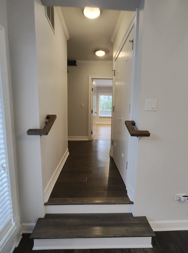544 W 58th Pl, Hinsdale, IL 60521 - photo 17