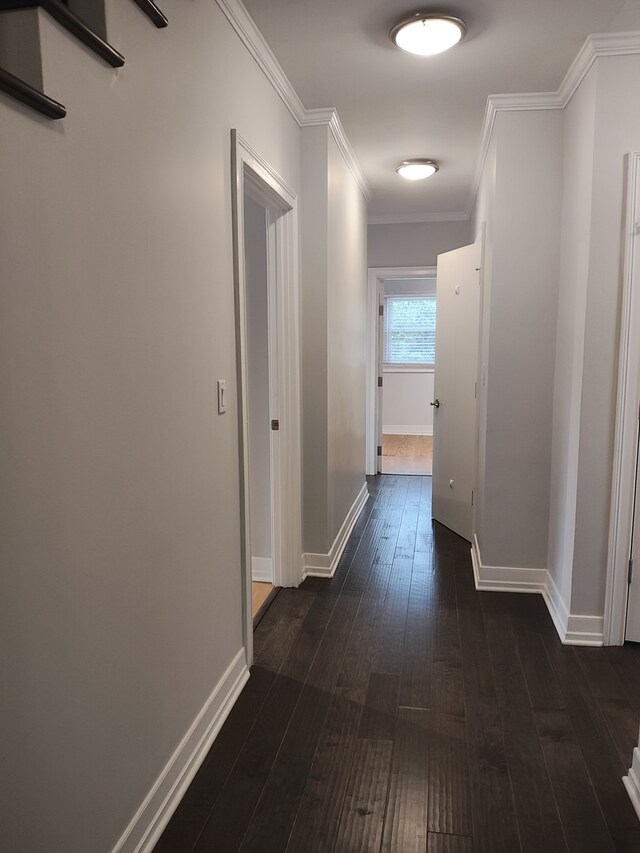 544 W 58th Pl, Hinsdale, IL 60521 - photo 18