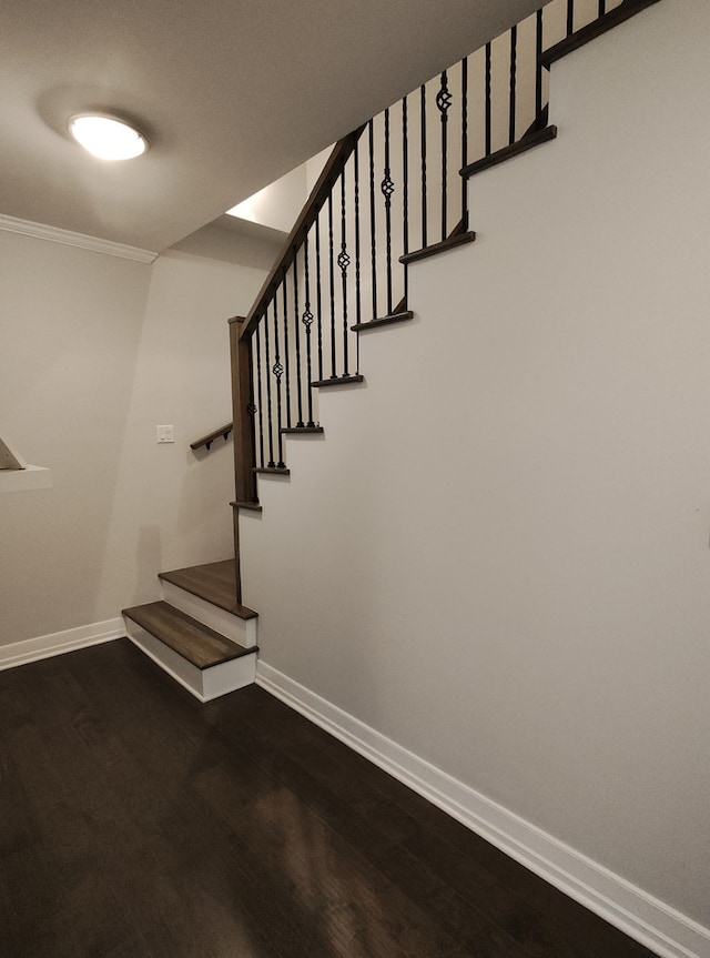 544 W 58th Pl, Hinsdale, IL 60521 - photo 25