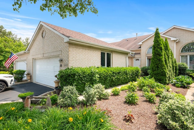 10935 Conifer Ct, Orland Park, IL 60467 - view of side of home featuring an attached garage, driveway, brick siding, and a shingled roof