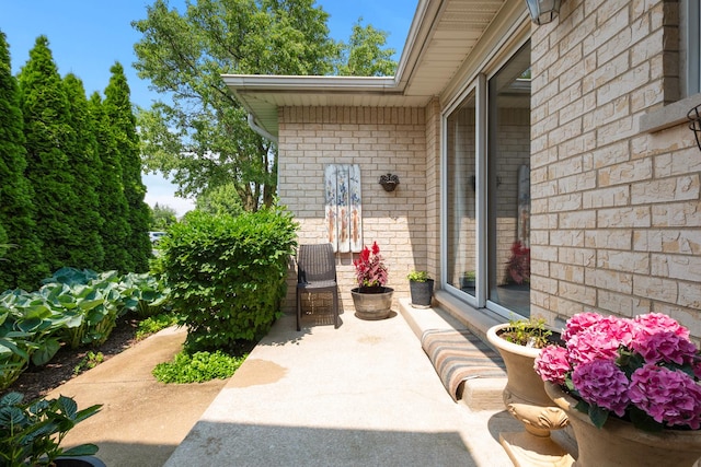 10935 Conifer Ct, Orland Park, IL 60467 - view of patio / terrace