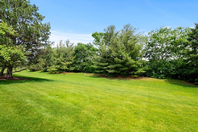 10935 Conifer Ct, Orland Park, IL 60467 - view of green lawn