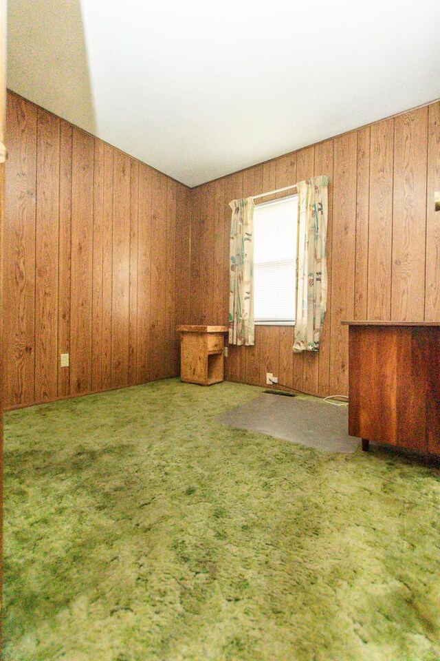 1602 N Jefferson Ave, Dixon, IL 61021 - unfurnished room featuring wooden walls and carpet flooring