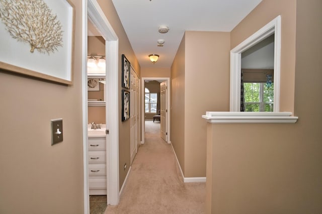 3944 Garnette Ct, Naperville, IL 60564 - hall with light carpet and healthy amount of natural light