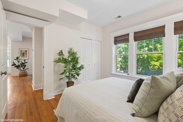 5359 N Paulina St Unit 2, Chicago, IL 60640 - bedroom featuring multiple windows, light wood finished floors, and a closet