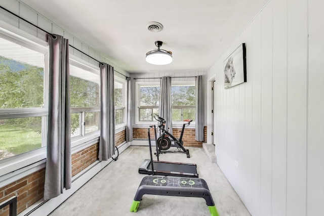 14 W Leon Ln, Prospect Heights, IL 60070 - exercise room featuring light colored carpet